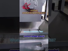 Machine de pressage de briquettes de copeaux de bois, de copeaux d'aluminium/cuivre/métal/fonte WANSHIDA 1250 tonnes